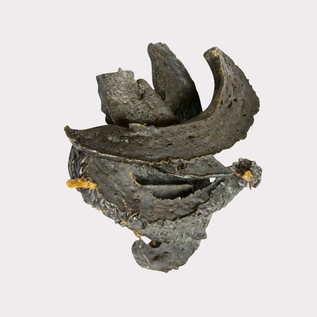 Dried Liver Strip