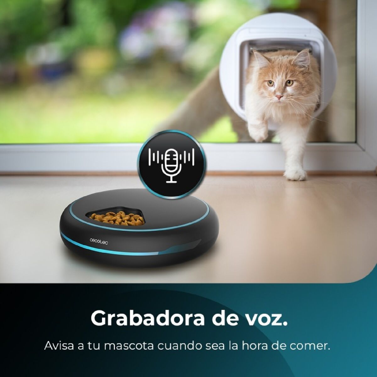 Automatic feeder Cecotec
