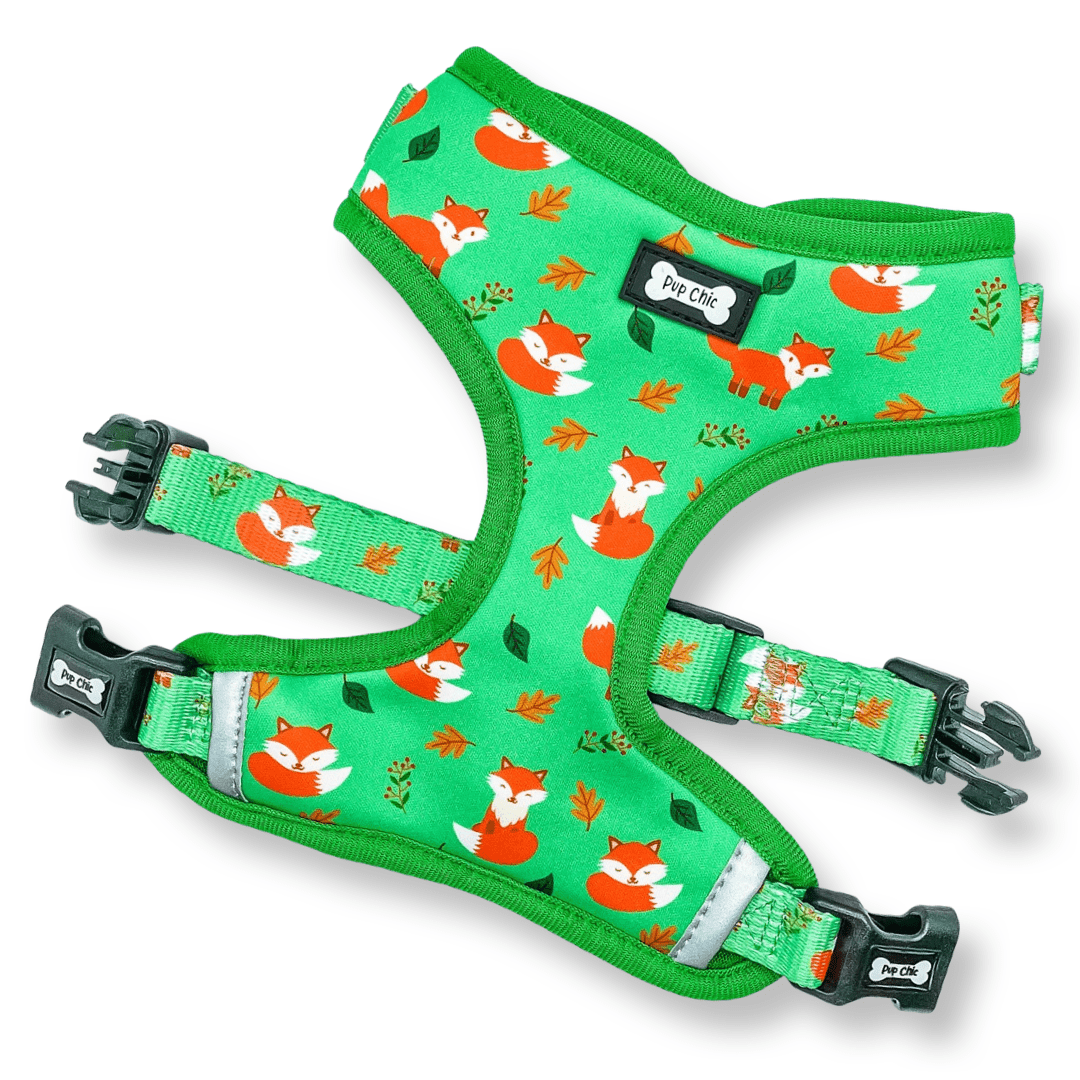 Inquisitive Fox XXS Puppy Harness